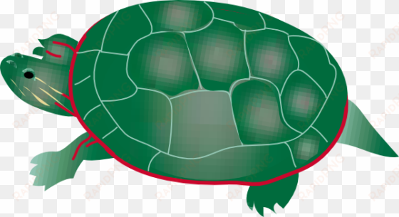 sea turtle clipart snapping turtle - free clipart of turtle