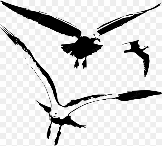 seagull birds vector silhouette - vector graphics