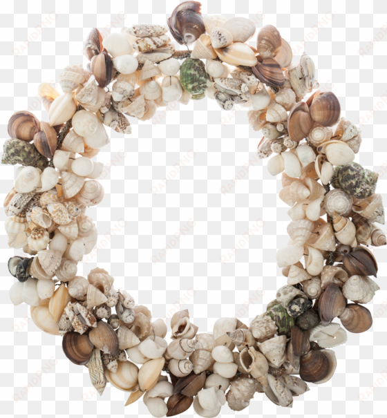 seashell company 11" shell wreath - small seashells