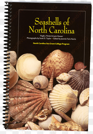 seashells book2 beach bound - seashells of north carolina