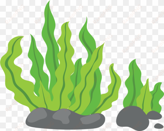 seaweed clip art - seaweed clipart