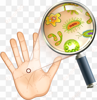 seems human, right look at it with a microscope, though, - bacteria in your hand