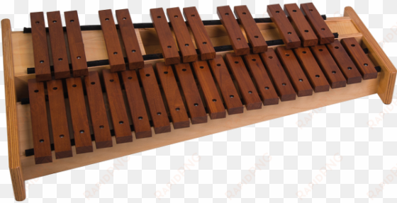 semi professional xylophone - xylophone