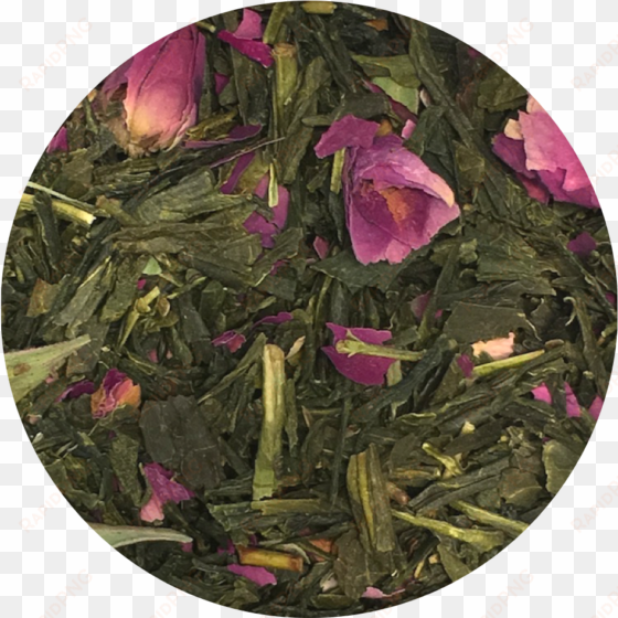 sencha with rose petals tea