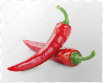 serenade chilli