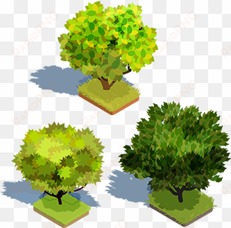 set of vector 3d isometric trees with shadow and a - trees isometric vector free
