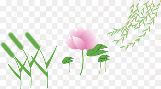 setaria vector graphics,free pictures, - lotus cartoon png