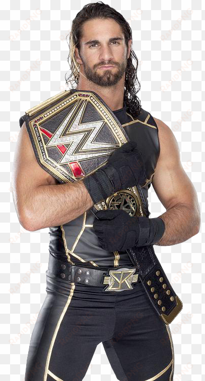 seth rollins wwe world heavyweight champion by nibble - wwe seth rollins and sasha banks