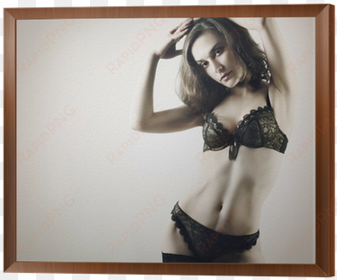 sexy woman in lingerie fashion model framed canvas - alien biology als ebook von mina shay