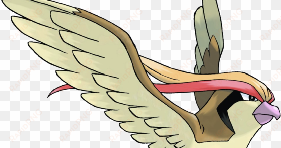 sfetsos university-developed research on professional - pokemon pidgeot