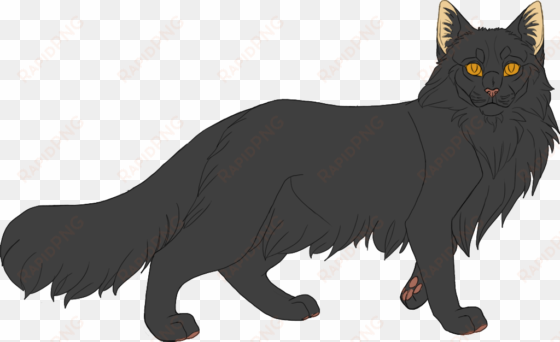 Shadowclan By Twistedfoot On Deviantart Picture Library - Dark Gray Cat With Yellow Eyes transparent png image