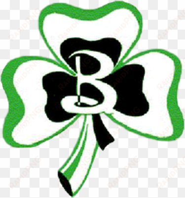 shamrocks athletics - berrien springs high school