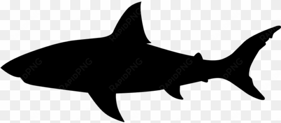 shark, jaws, fish, great, tattoo shark jaws, make a - shark silhouette png