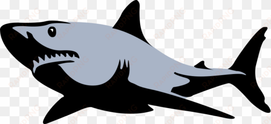 shark png images