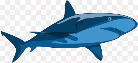 shark pure - vector clip art shark