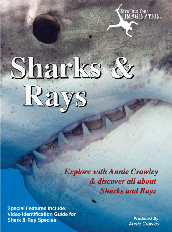 sharks & rays dvd - film
