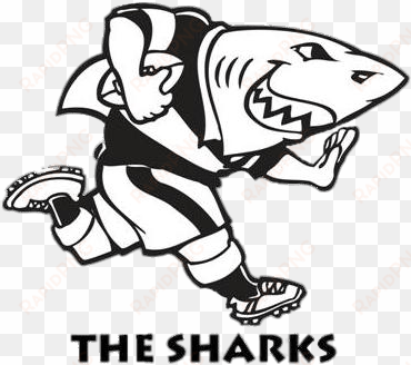 sharks rugby logo - sharks south africa rugby