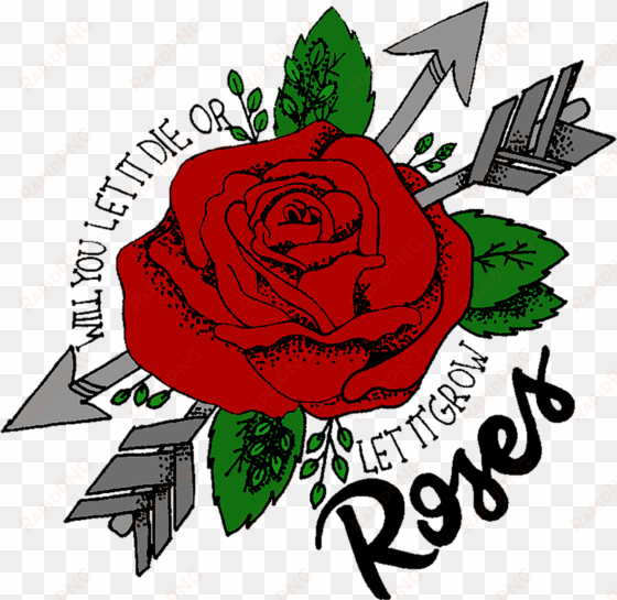 shawn mendes illuminate lyric collection - roses