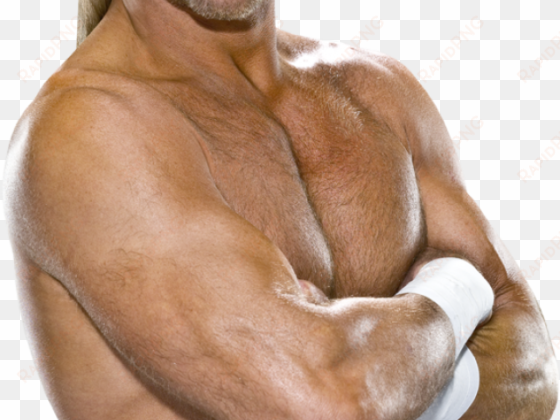 shawn michaels png transparent images - hbk