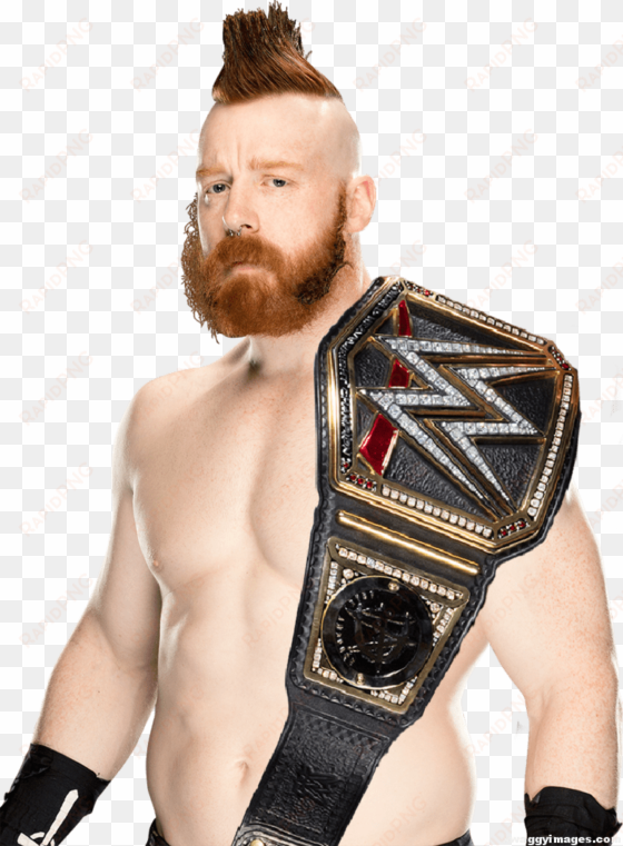 sheamus wwe world champion - sheamus wwe