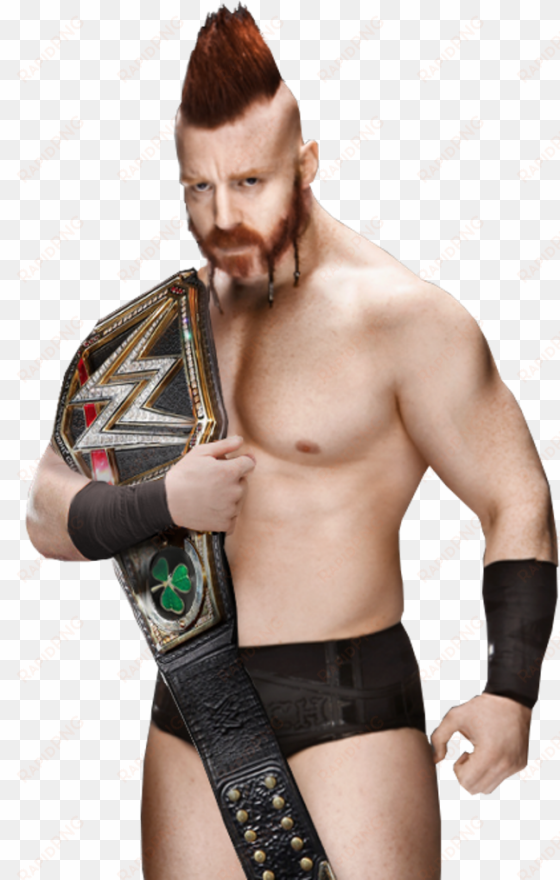 sheamus wwe world heavyweight champion - wwe sheamus world heavyweight champion