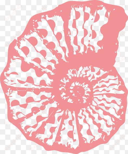 shell clipart pink seashell - coral colored sea shell