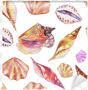 shells on the bottom of the sea - watercolor painting