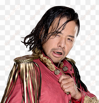 shinsuke nakamura - wwe & cfo$ / the rising sun (shinsuke nakamura)