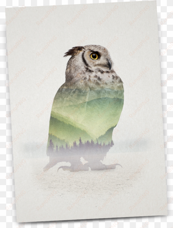 shop now - great horned owl