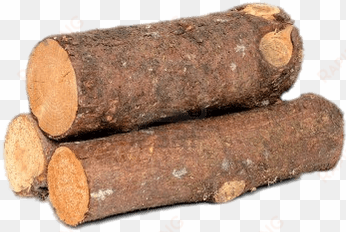 short logs - wood with transparent background