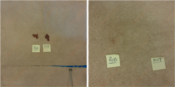 should you blot or rub carpet stains - carpet