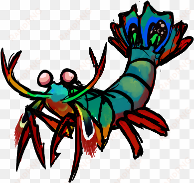 shrimp cartoon desktop backgrounds the - mantis shrimp transparent