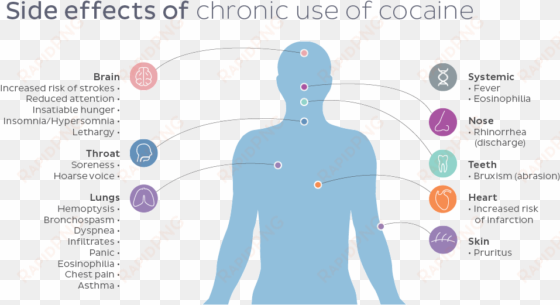 side effects of cocaine - diagram