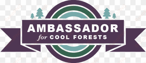 sign up to be an ambassador for cool forests and join - brand ambassador