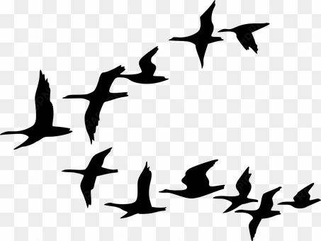 silhouette birds black flying geese waterf - flock of birds clipart