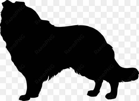 silhouette dog collie mammal canine dog do - collie silhouette transparent background