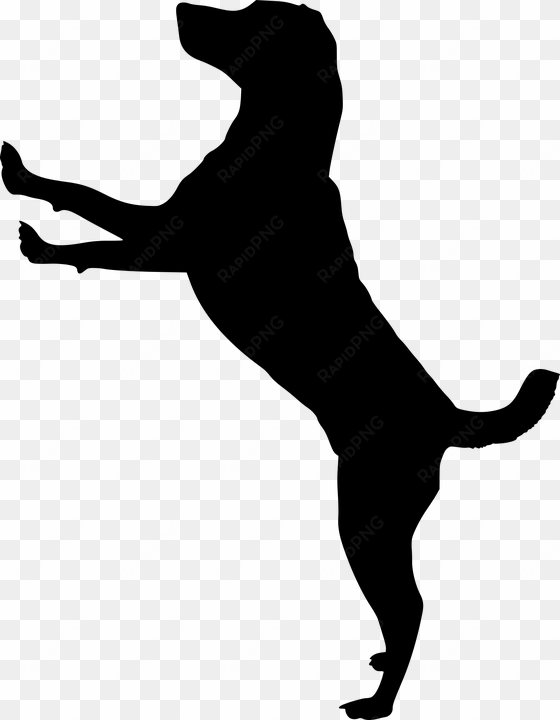 silhouette, dog, doggy, animal, dog house, pet, run - dog jumping silhouette