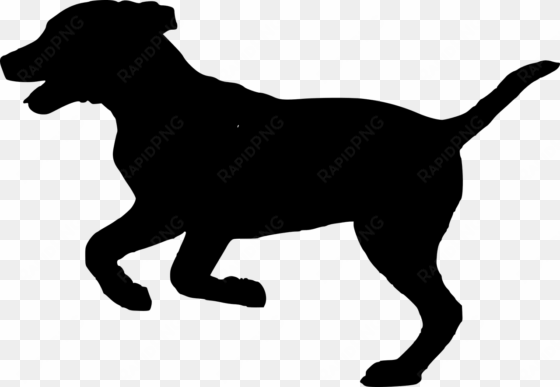silhouette, dog, doggy, animal, dog house, pet, run - silueta de un perro