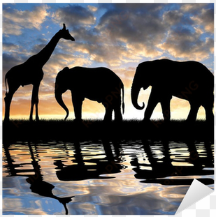 silhouette elephants and giraffe in the sunset sticker - elephants and giraffes