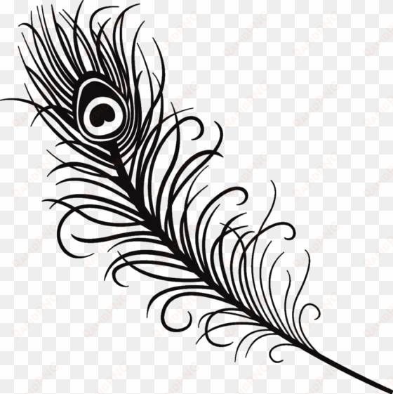 silhouette feather peacock peacockfeather black love - peacock feather clipart black and white