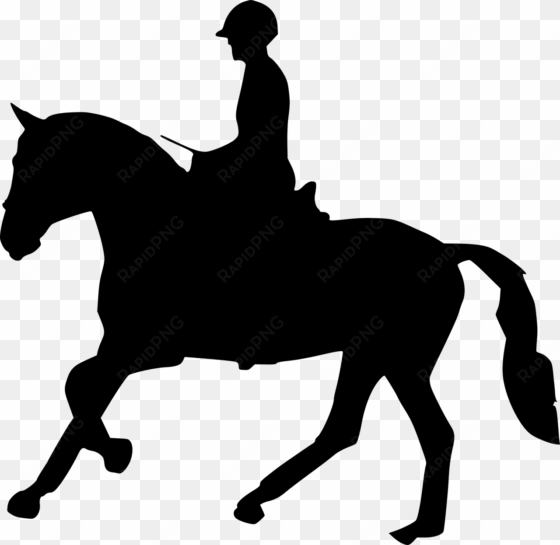 silhouette, horse racing, horse head, horse logo - horse riding logo