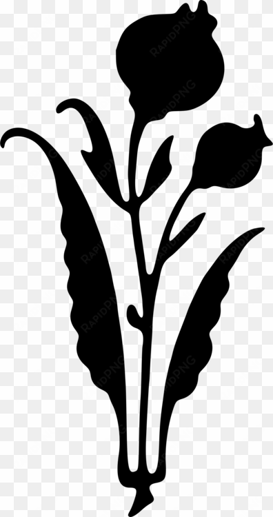 silhouette plant stem black and white leaf flower - clip art