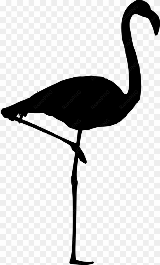 silhouette,flamingo isolated,free vector - flamingo silhouette vector free