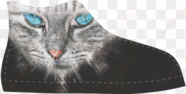 silver abstract cat face with blue eyes aquila high - tabby cat
