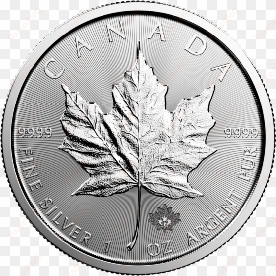 silver maple leaf back - 2014 australian kookaburra silver coin