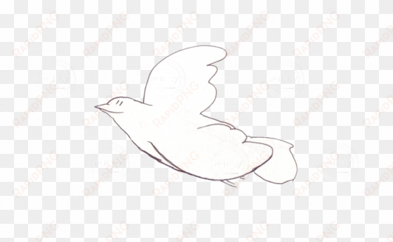 simple and neat flying bird / dove - bird