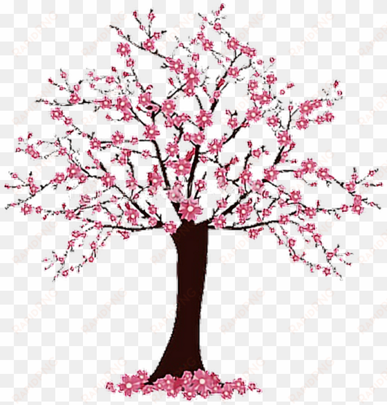 simple cherry blossom tree drawing