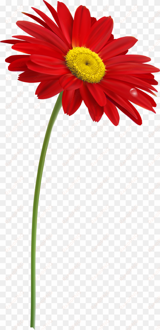 single flowers, clipart images, stems, clip art, dibujo, - flower with stem png