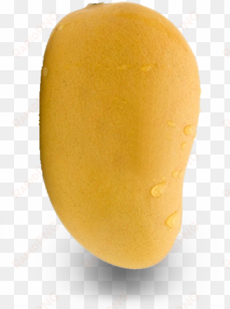 single mango transparent images - ataulfo