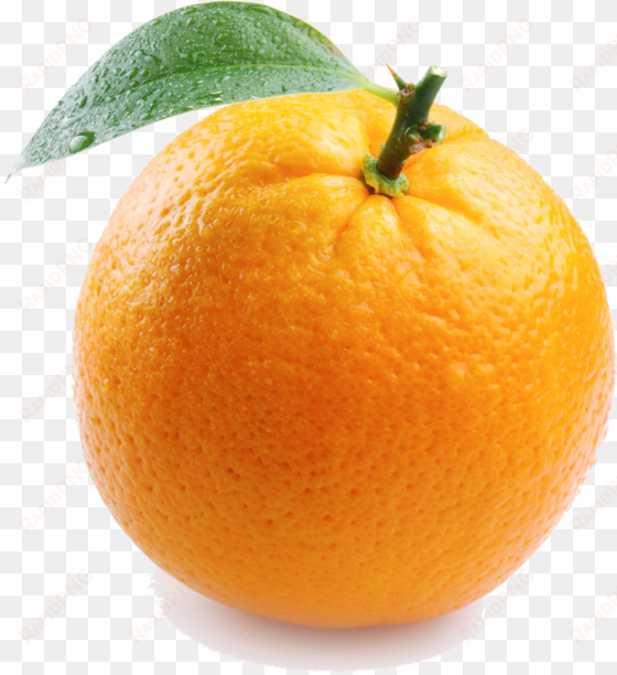 single orange transparent image - things that are color orange